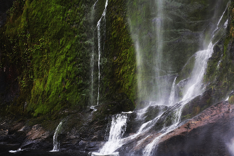 Milford Sound Waterfalls, South Island : New Zealand : Travel : Photos :  Richard Moore Photography : Photographer : 